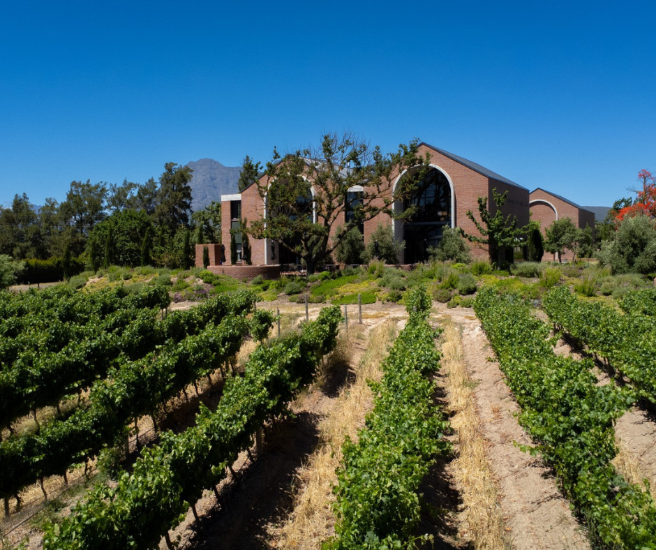 Baccō Estate — Paarl wine estate