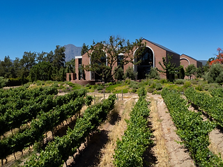 Baccō Estate — Paarl wine estate