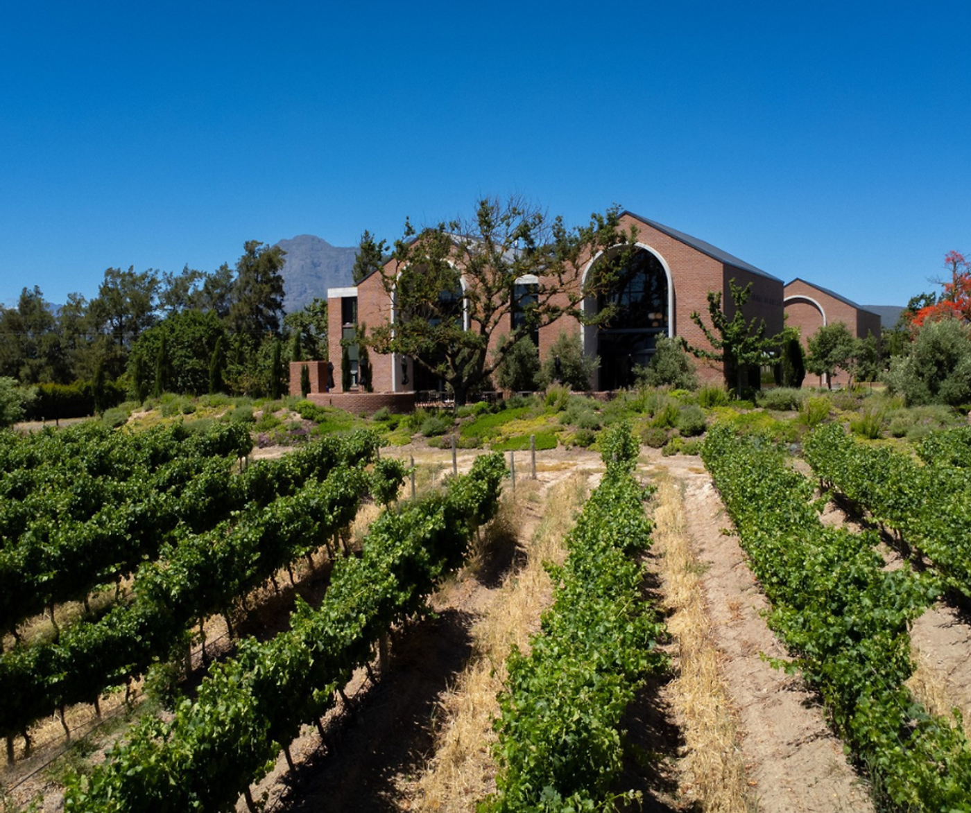 Baccō Estate — Paarl wine estate, Western Cape