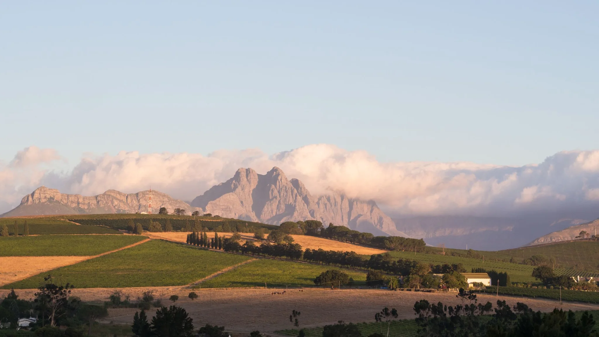 10 Stellenbosch Wine Estates for First Time Visitors