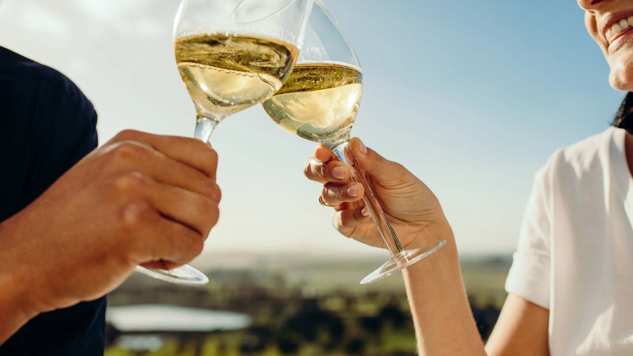 Cape Winelands Holidays: A World-Class Escape Awaits