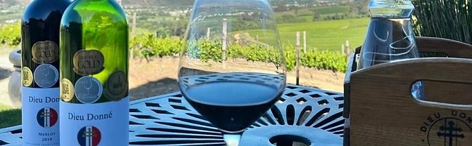 Dieu Donne Vineyards · photo 2