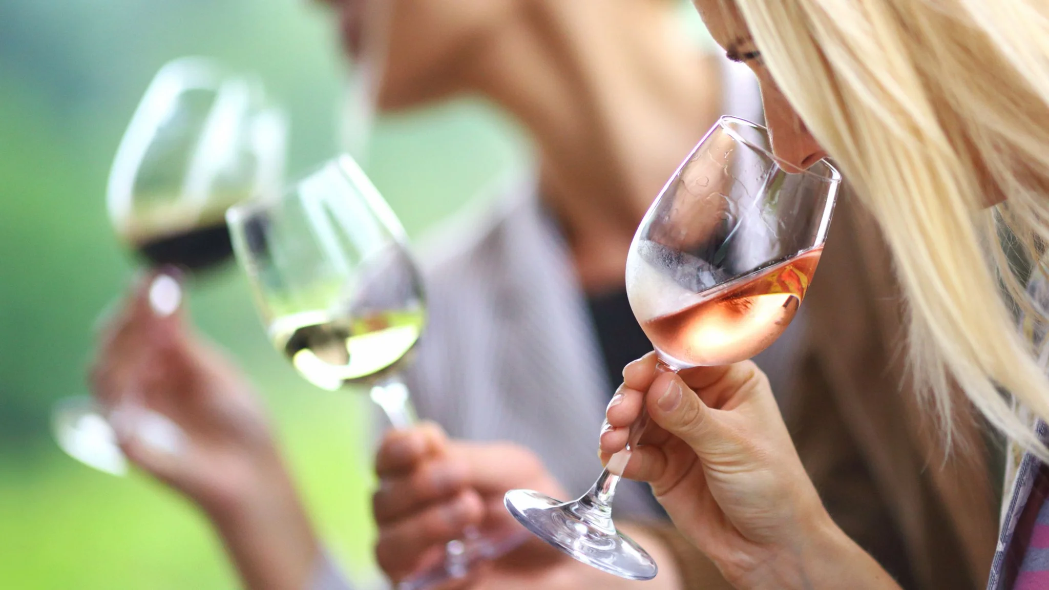 Beginners Guide to Wine Tasting in South Africa