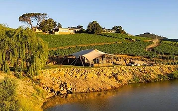 Cape Winelands-tour