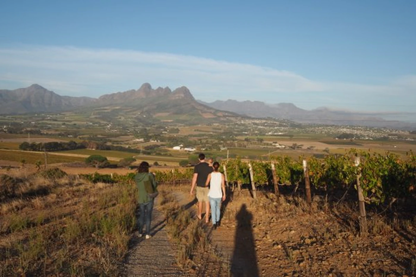 Craven Wines — Stellenbosch wine estate, Western Cape