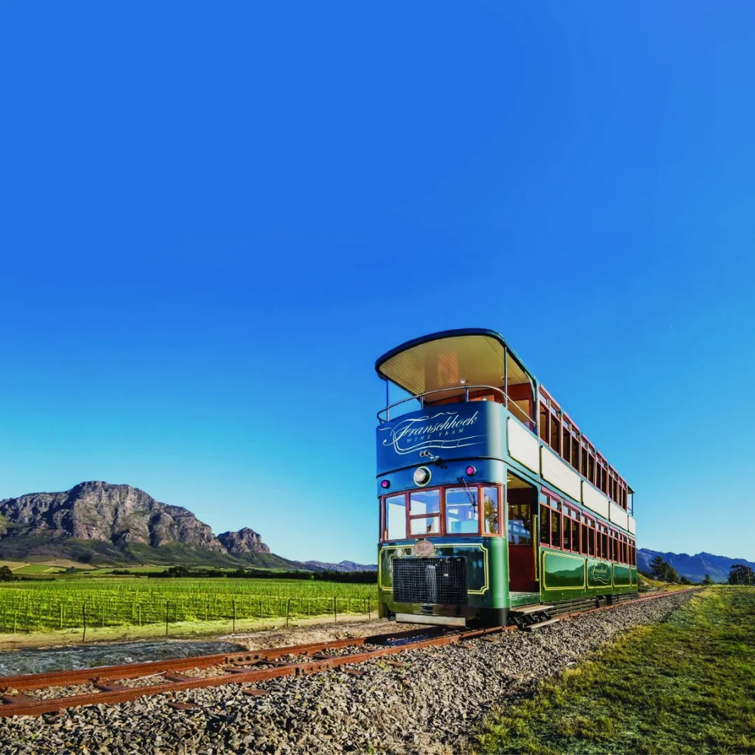 Franschhoek Wine Tram: Cape Winelands Highlights