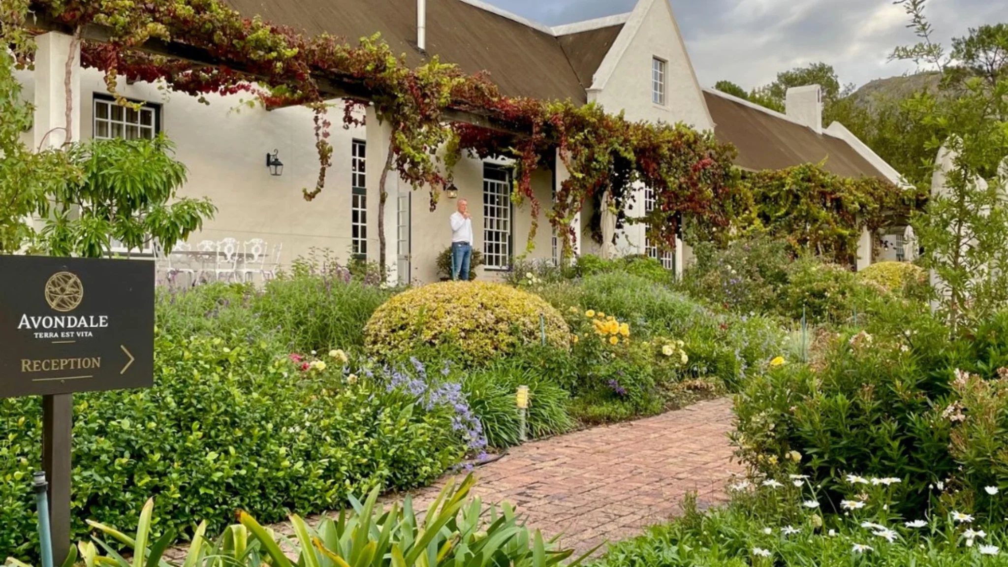 Best Wine Farms in Paarl