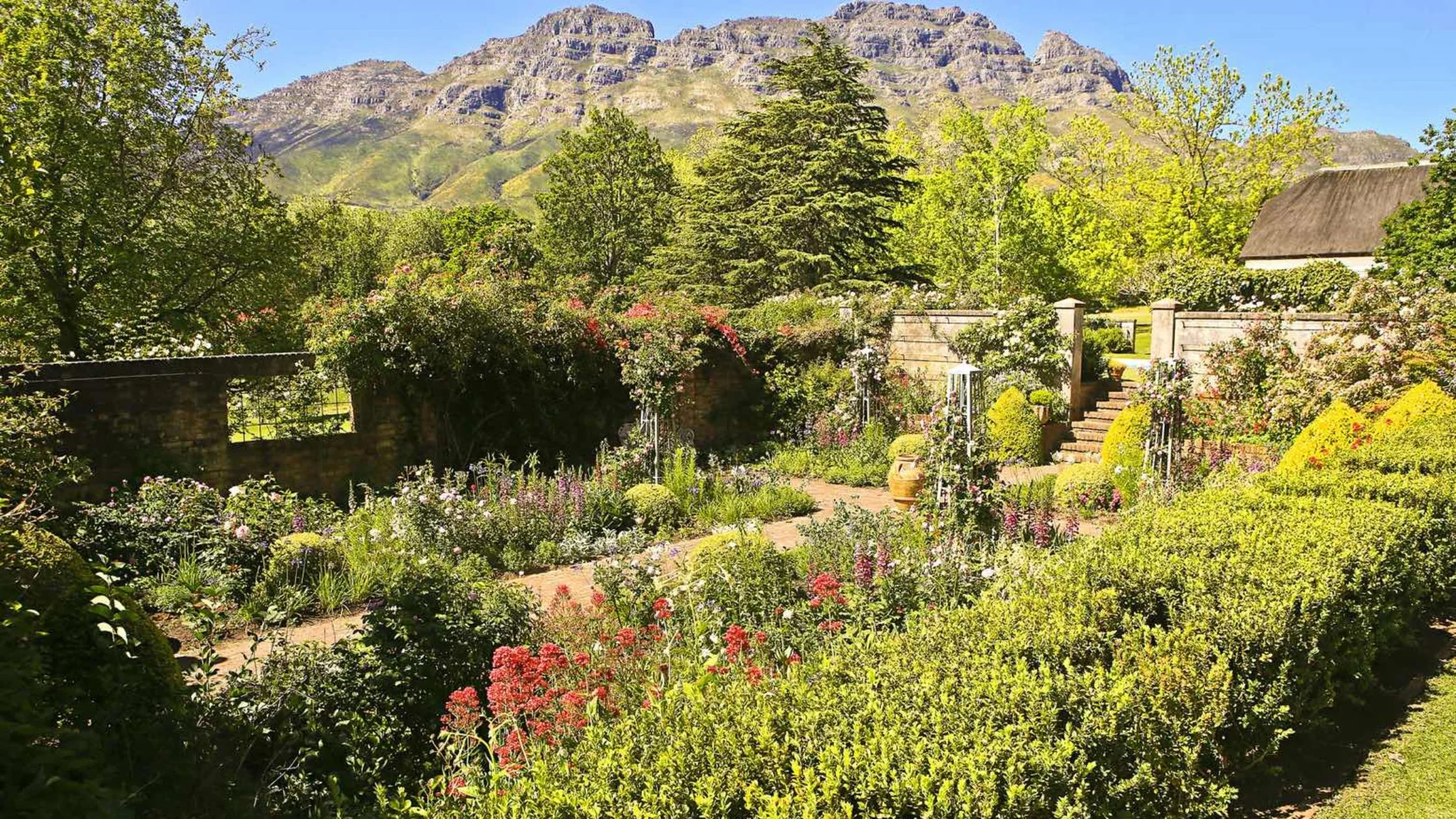 Rustenberg Wines