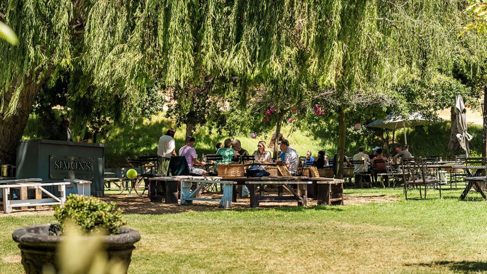 Best Picnic Spots in Constantia