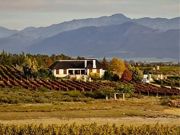 Blue Crane Vineyards – Weingut in Western Cape