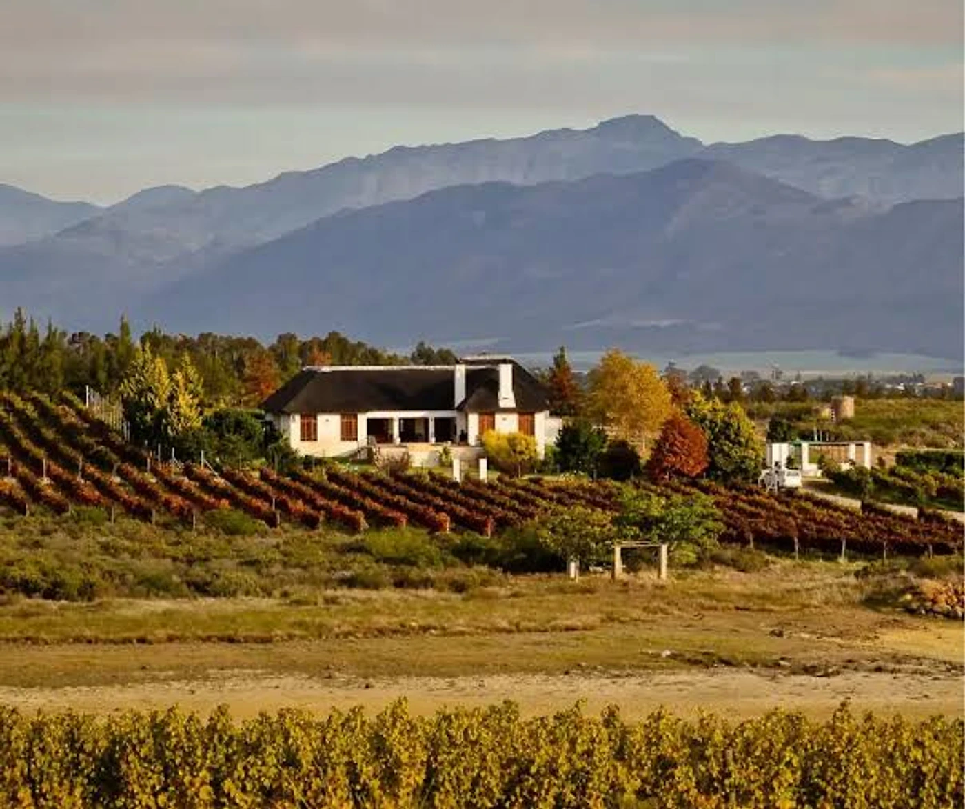 Blue Crane Vineyards — Western Cape wine estate, Western Cape