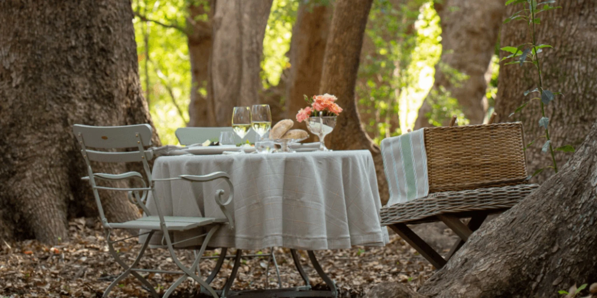 Picnics at Vergelegen