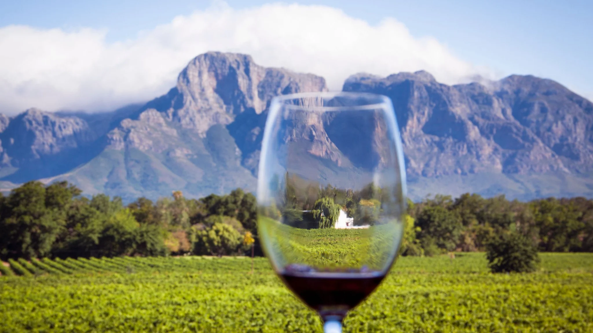 Custom Wine Tours: How to Design Your Perfect Wine Holiday in 2025
