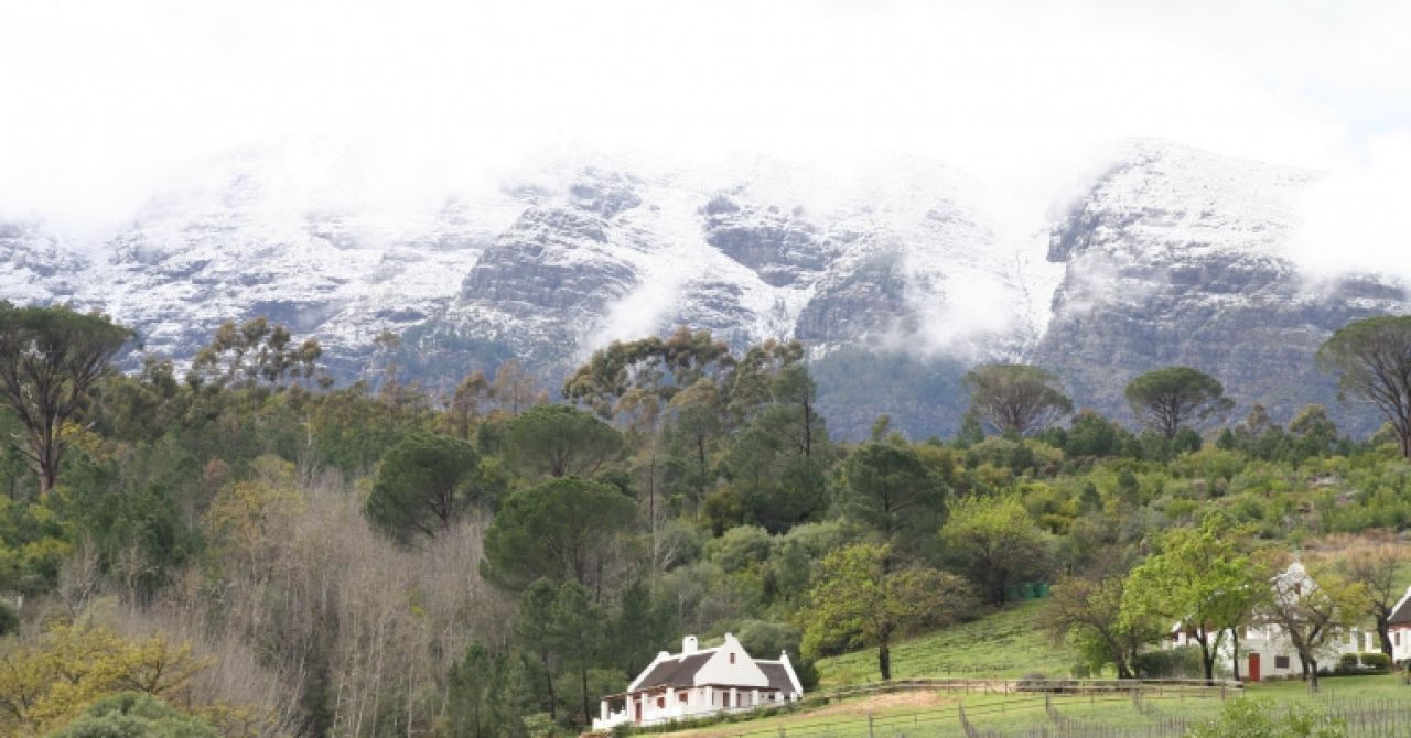 Fynbos Cottage — photo 1