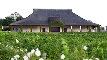 Bouchard Finlayson Winery estate
