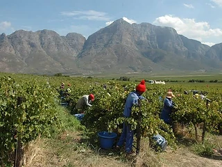 Opstal Estate — Breede River Valley wine estate