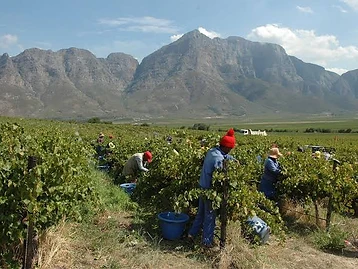Opstal Estate — Breede River Valley wine estate