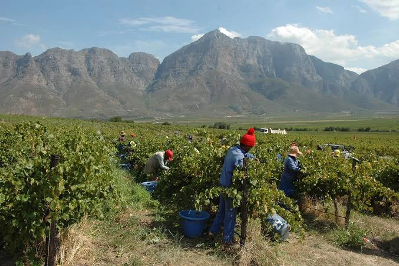 Opstal Estate — Breede River Valley wine estate, Western Cape