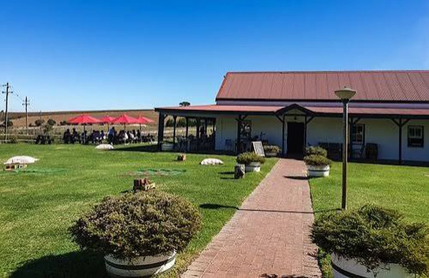 Middelvlei Wine Estate — Stellenbosch wine estate, Western Cape