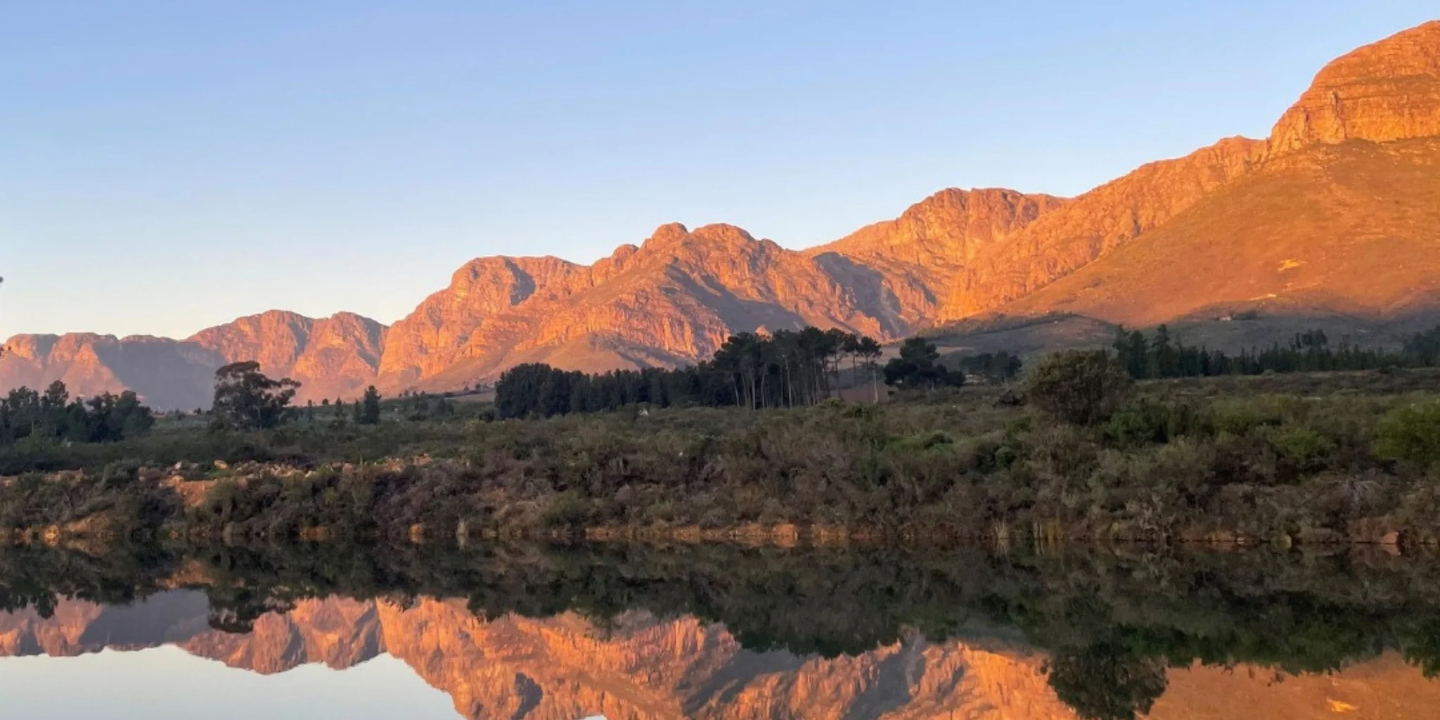 Avondale Wine Estate
