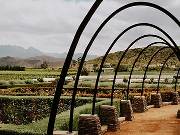 Weltevrede Wine Estate – Weingut in Robertson