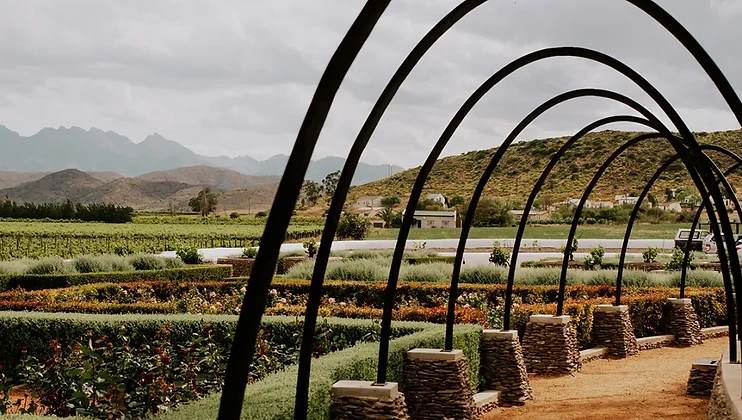 Weltevrede Wine Estate wine estate in Robertson