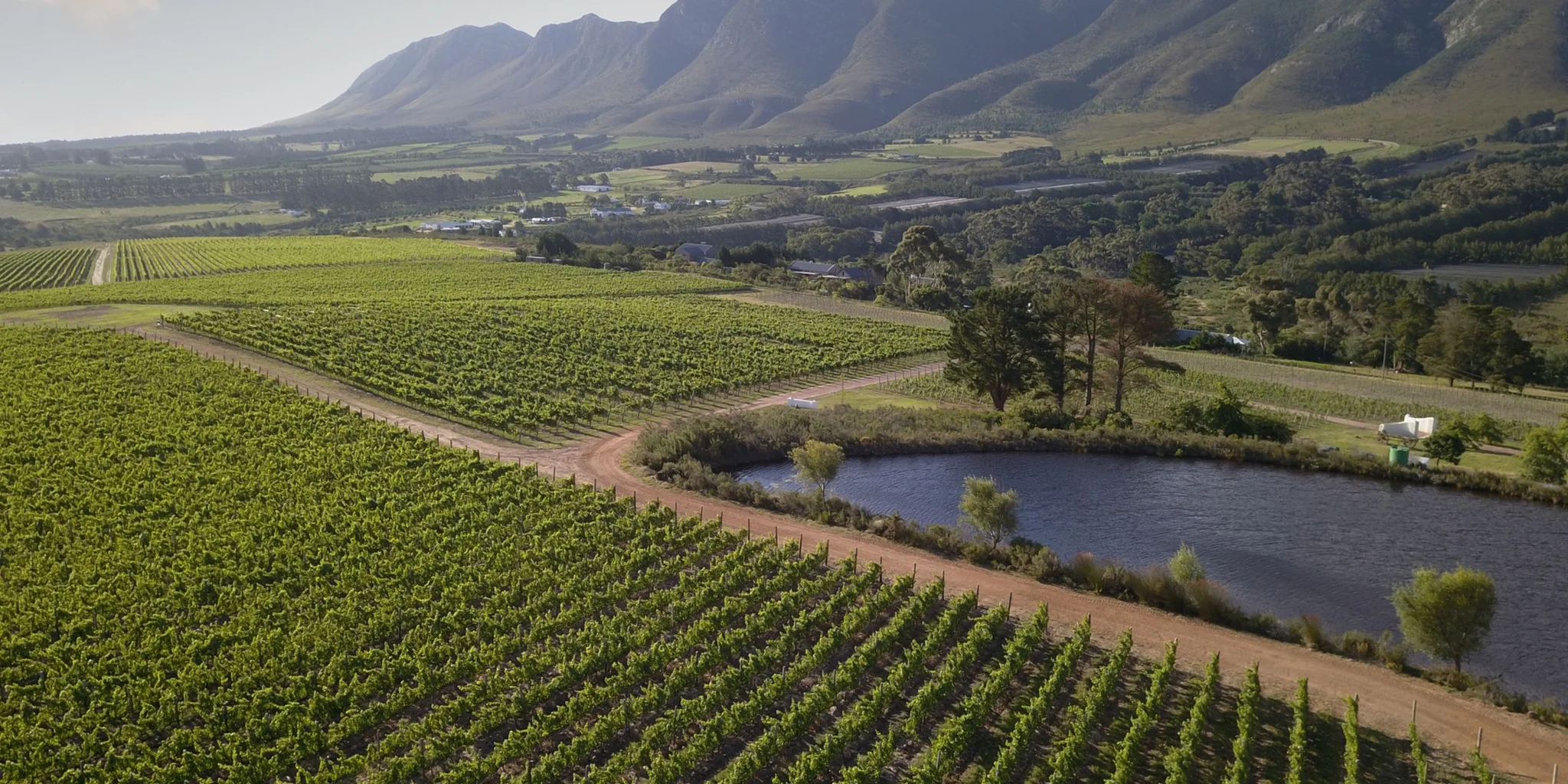 Discover the Top Wine Farms in Stellenbosch