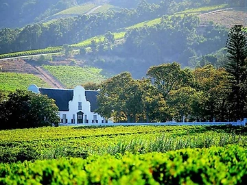 Klein Constantia wine estate