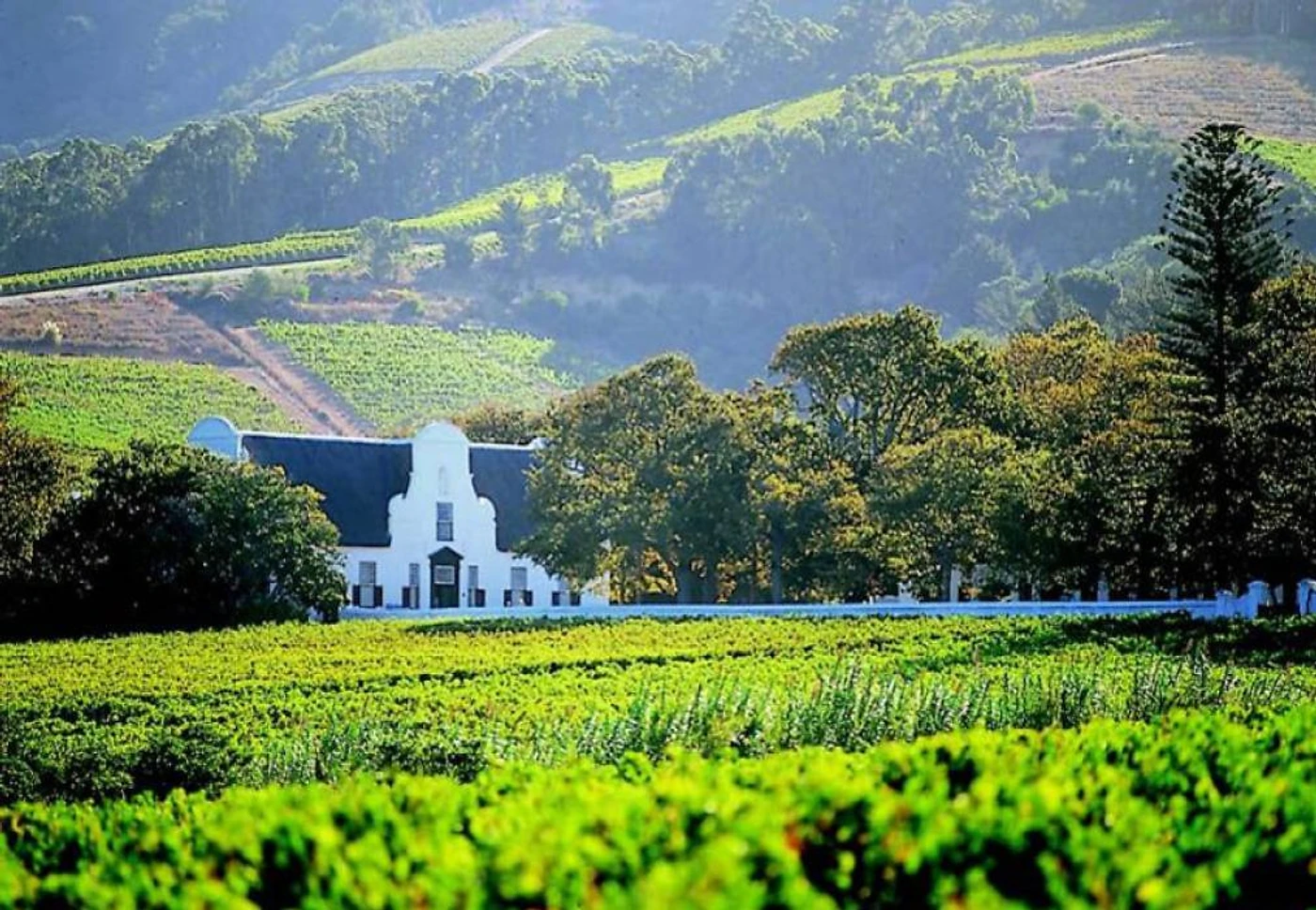 Klein Constantia — Constantia wine estate, Western Cape