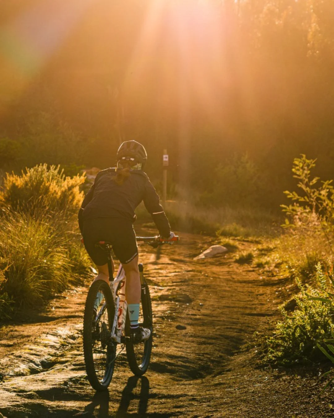 Outdoor Activities in the Cape Winelands