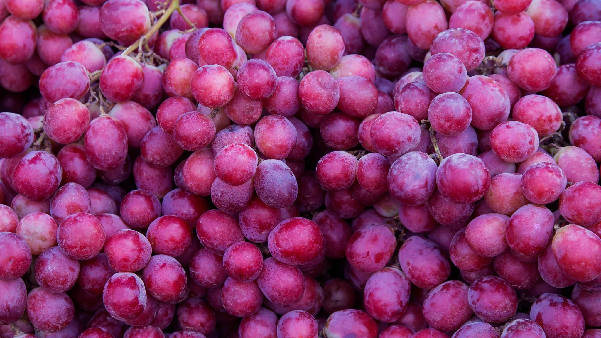 Cape Wine Blends