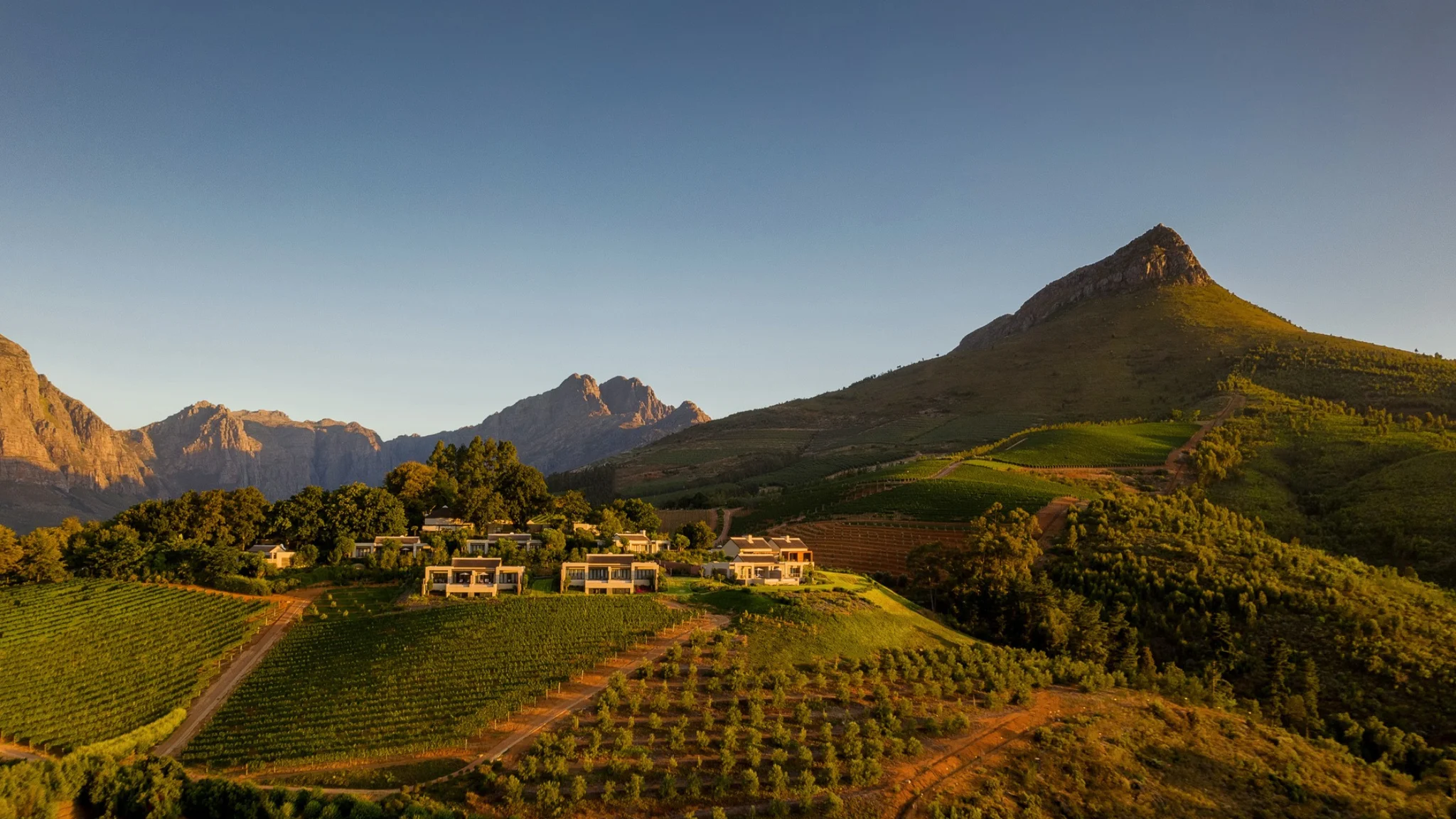 14 Luxury Wine Estates in Stellenbosch Worth Visiting