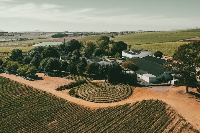 Simonsig Estate — Stellenbosch wine estate