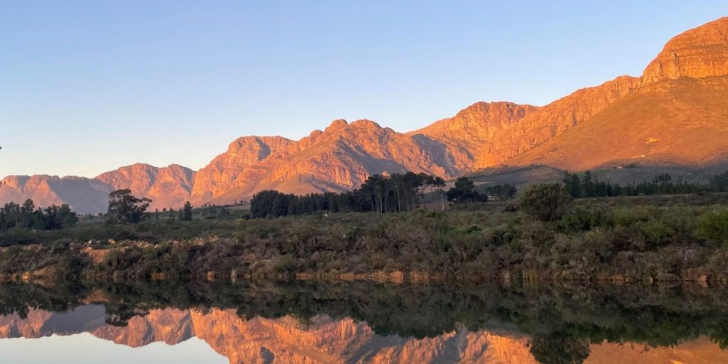 Avondale Wine Estate
