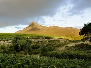 Crystallum — Hemel-en-Aarde wine estate