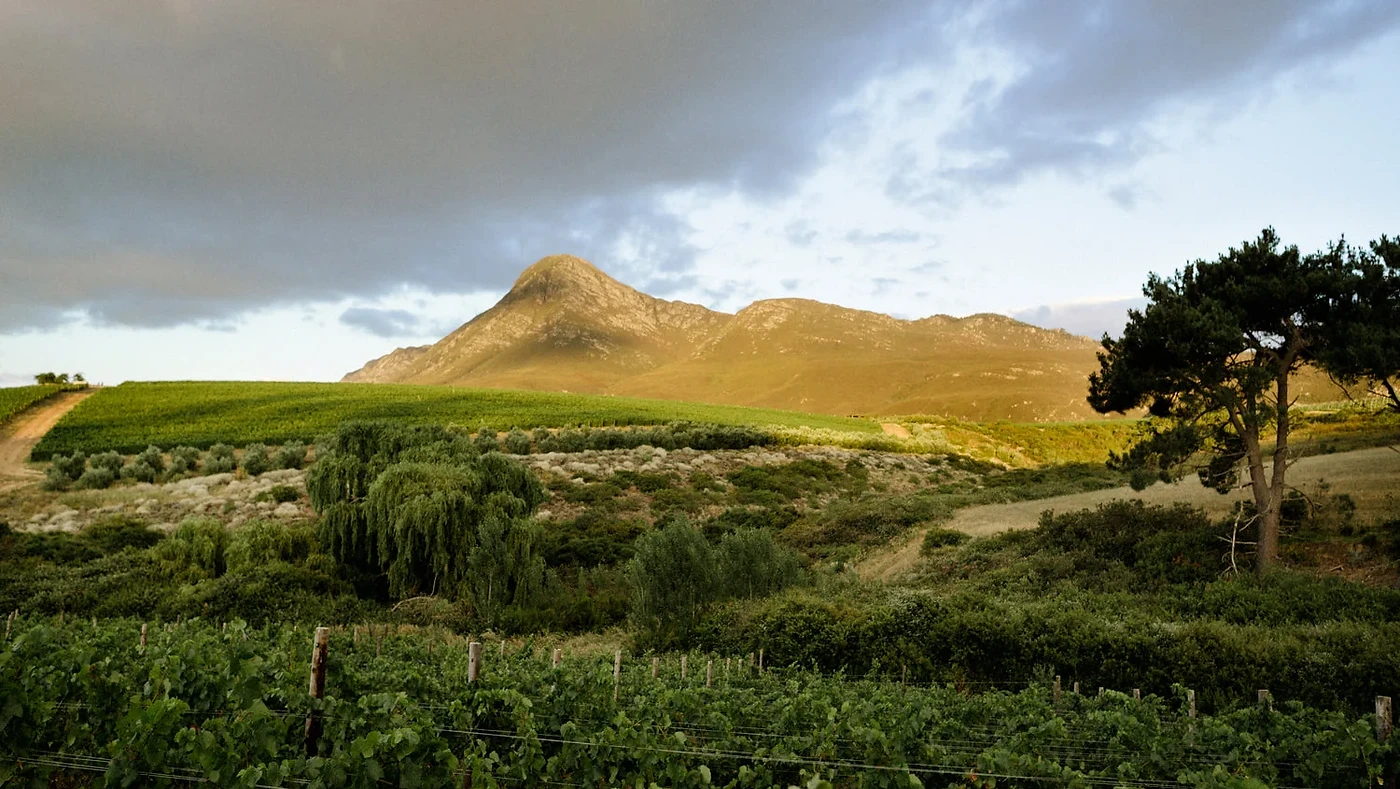 Crystallum — Hemel-en-Aarde wine estate, Western Cape
