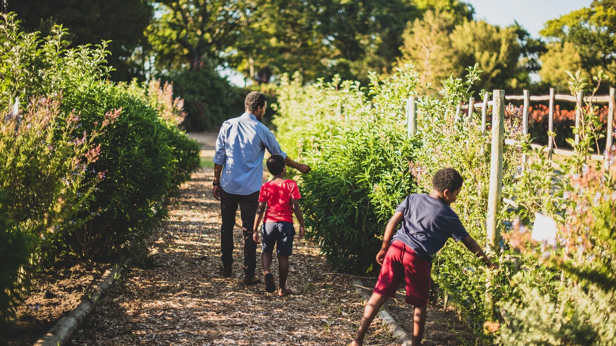 Family Fun at Boschendal