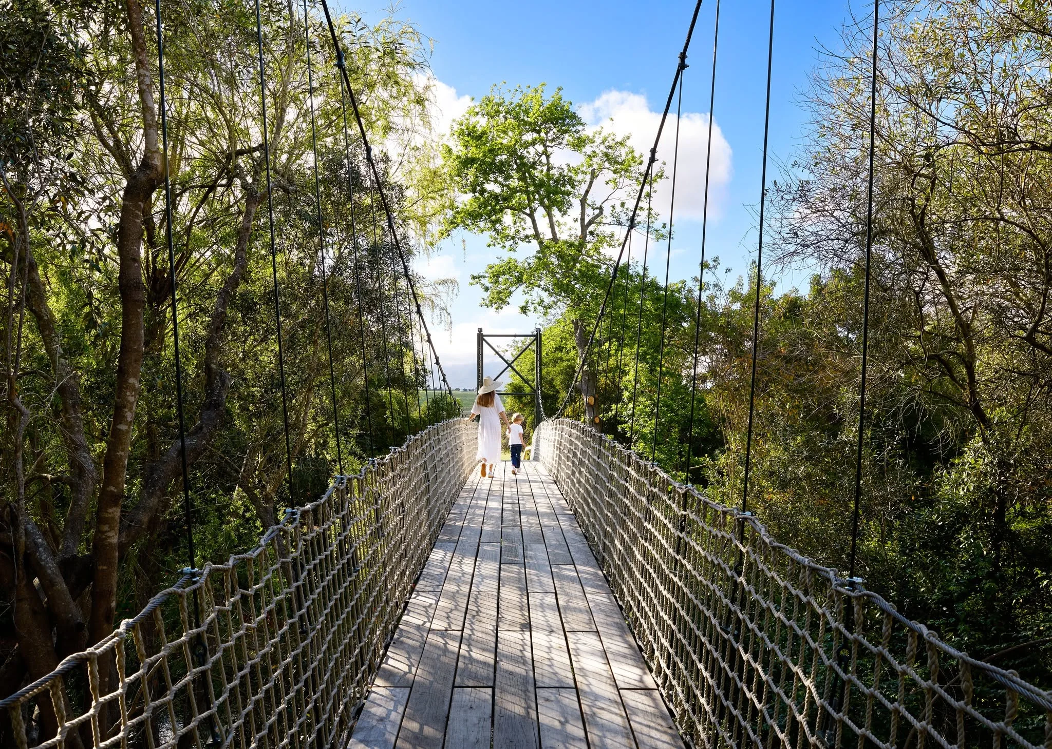 Walkway at Spier Wine Farm