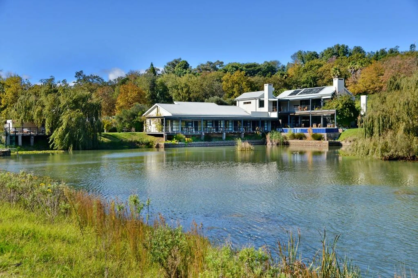 Ladybird Vineyards — Stellenbosch wine estate, Western Cape