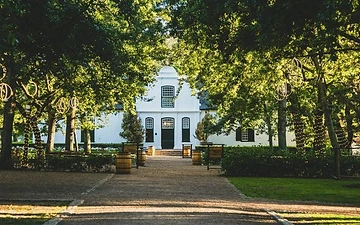Kulinarik- und Kunst-Weintour