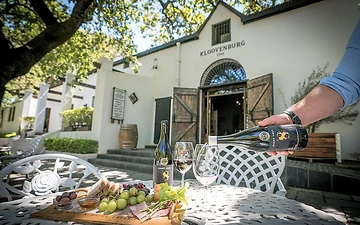 Swartland Wein, Oliven & Farm Table