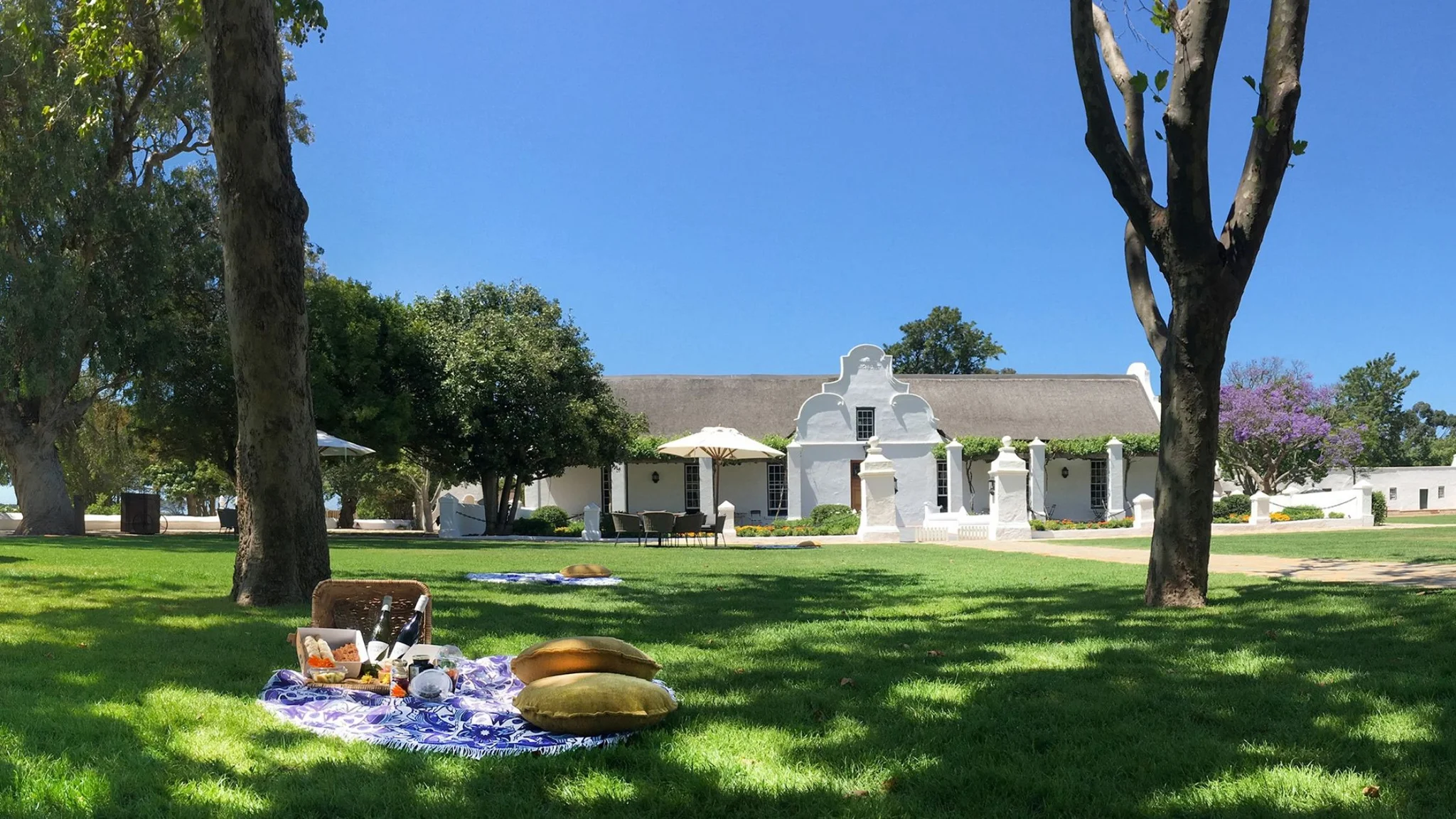 Family-Friendly Wine Farms in Stellenbosch & Paarl