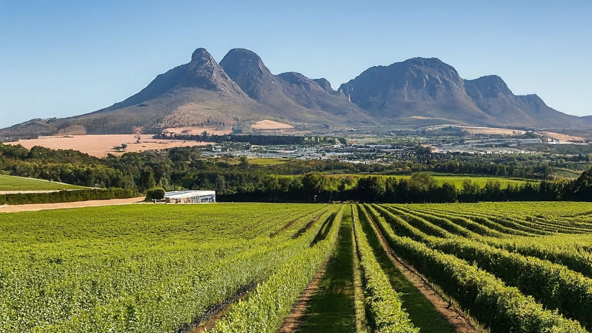 Top 10 Wine Estates in Durbanville
