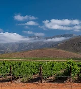 Ashton Winery estate photograph