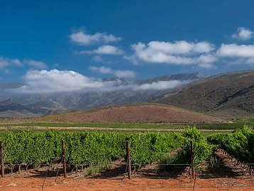 Ashton Winery – Weingut in Robertson