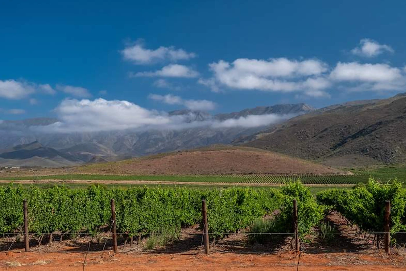 Ashton Winery — Robertson wine estate, Western Cape