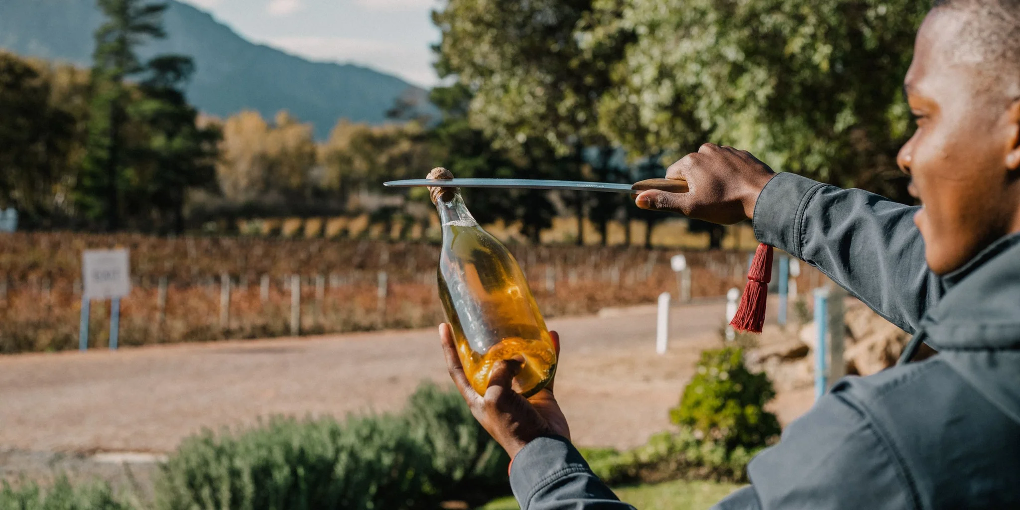 Why the Cape Winelands Should Be Your Next Wine Holiday
