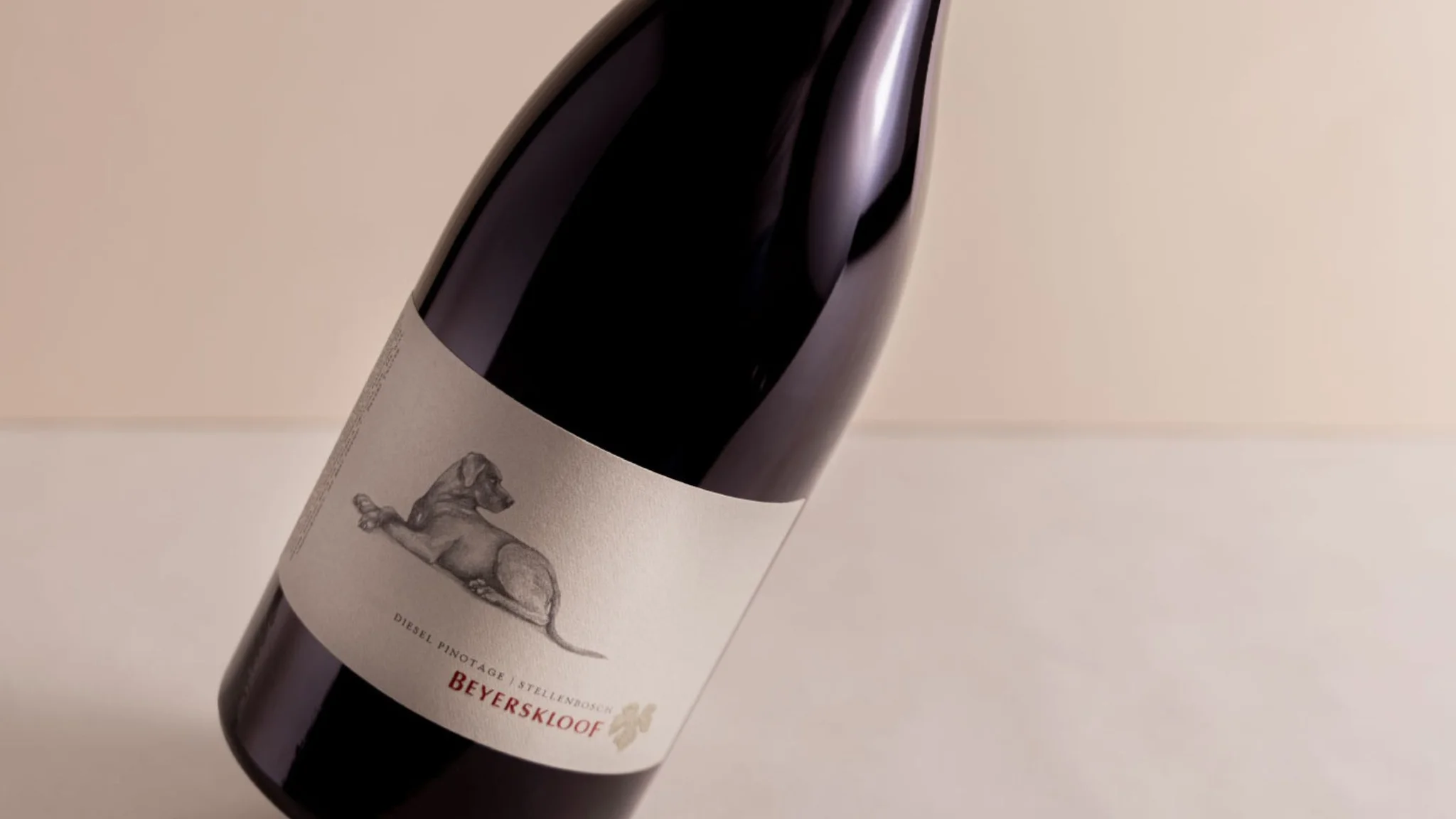 A Guide to Pinotage: South Africa’s Bold Signature Grape