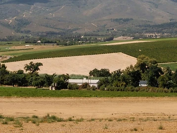 Atlas Swift – Weingut in Franschhoek