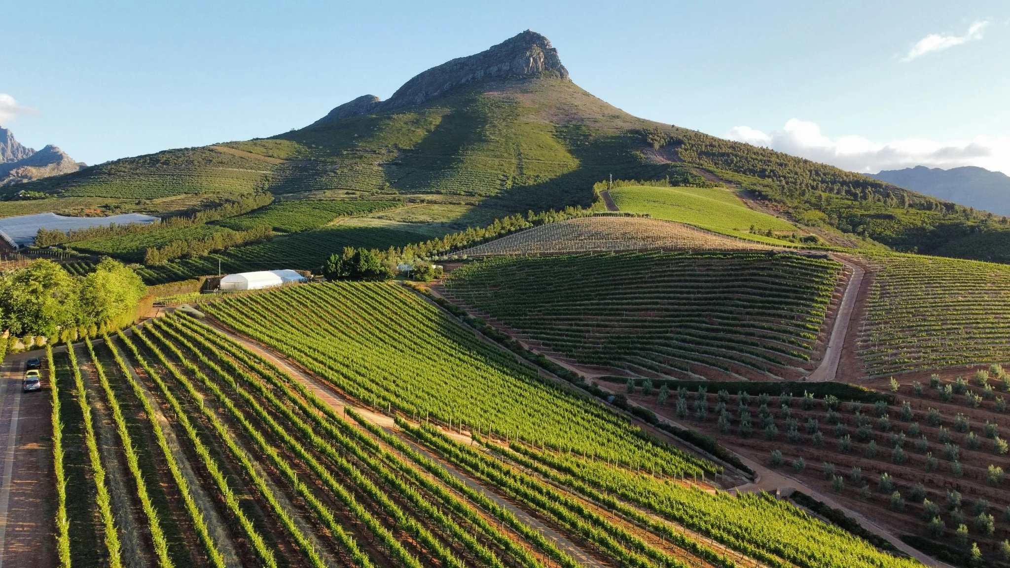 Explore the Cape Winelands